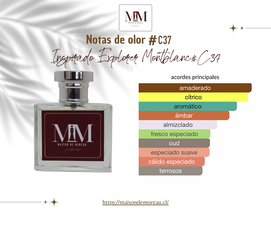 Inspirado en Explorer Montblanc 2